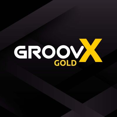 groovx gold fitness workout
