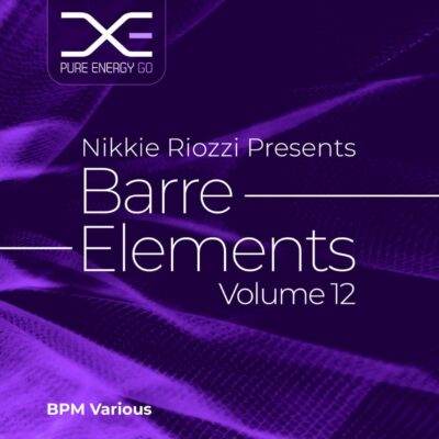 barre elements 12 fitness workout