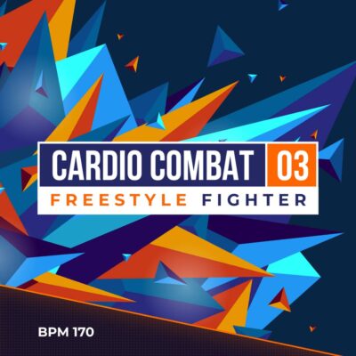 cardio combat 3 freestyle fighter fitness workout