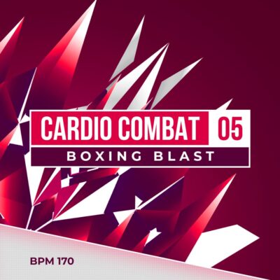 cardio combat 5 boxing blast fitness workout