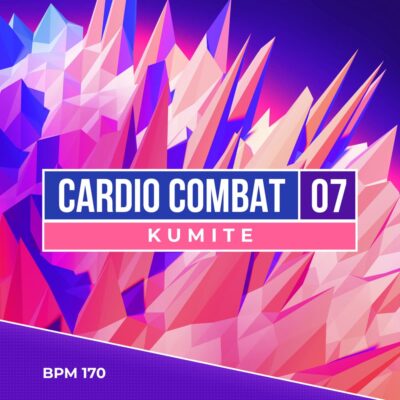 cardio combat 7 kumite fitness workout